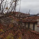 δρυάδες 2