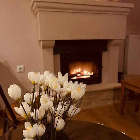 δρυάδες 2 Apartmán *