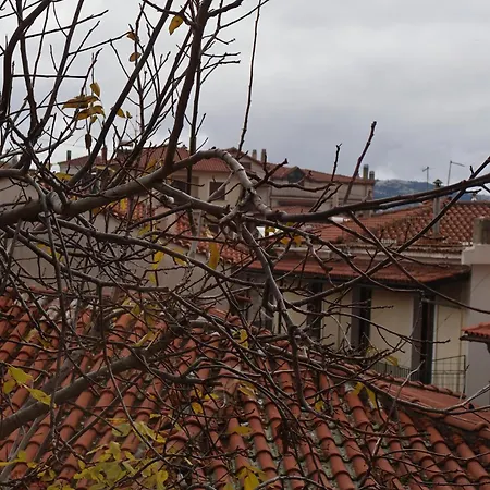 δρυάδες 2
